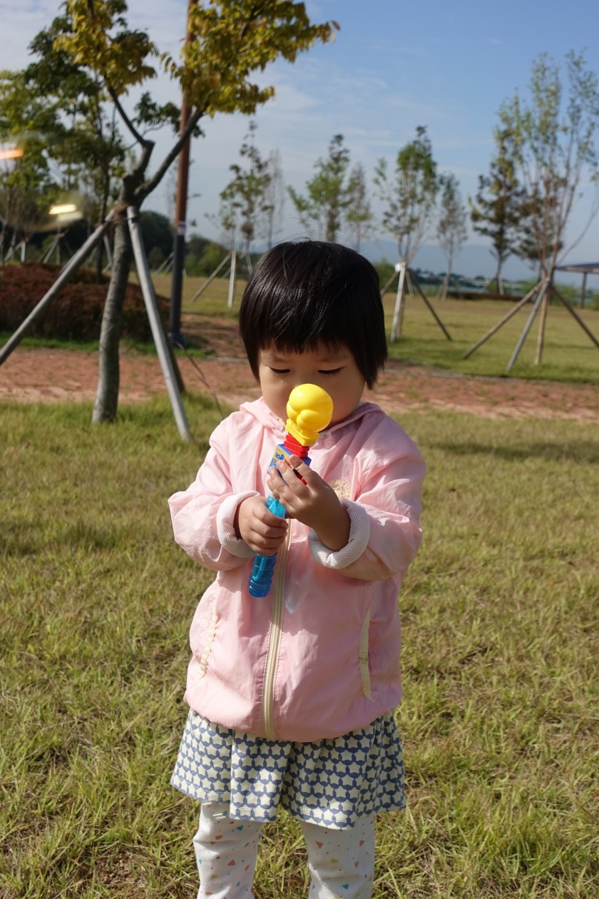 76ab0dc991fad38227784c7aa31d3472_1514002267_45.JPG
