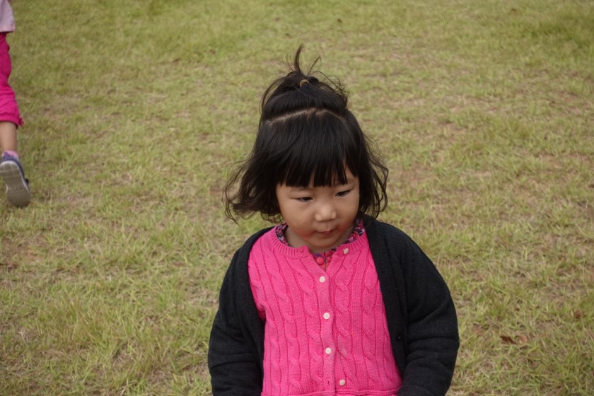 76ab0dc991fad38227784c7aa31d3472_1514003170_58.JPG